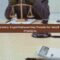 Legal Business Process Outsourcing