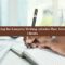 Article Writing and Publishing