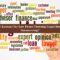 Legal Business Process Outsourcing